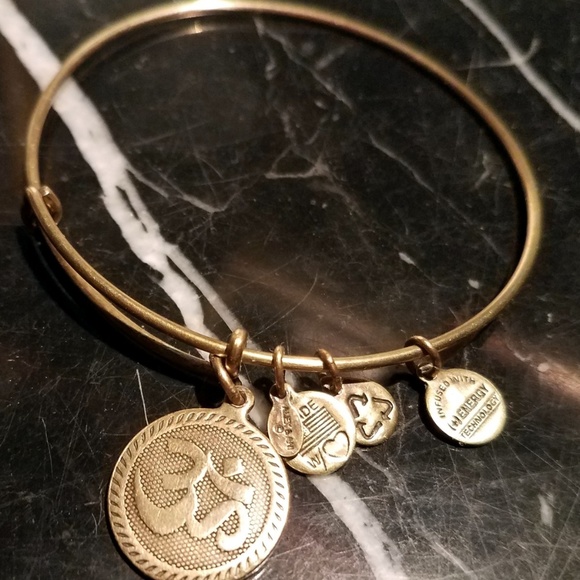 Alex And Ani OM Charm Bangle Bracelet Rafaelian Ru - Picture 3 of 8